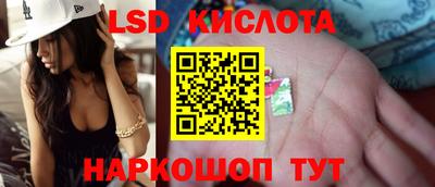 дмт Донской