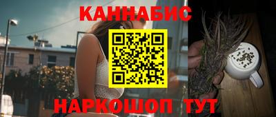 стафф Дубна