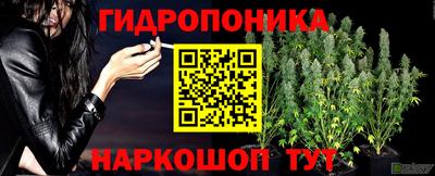 дмт Донской