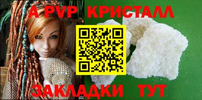 стафф Дубна