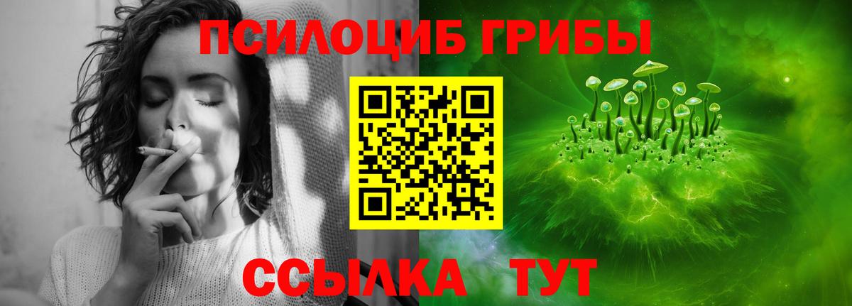 Майский  купить  цена  Вход с VPN  Псилоцибиновые грибы ЛСД  Галлюциногенные грибы прущие грибы 